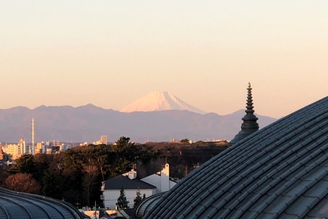 2024　大聖堂より富士山をのぞむ